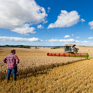Government extends agricultural visa scheme to fill jobs left by EU workers