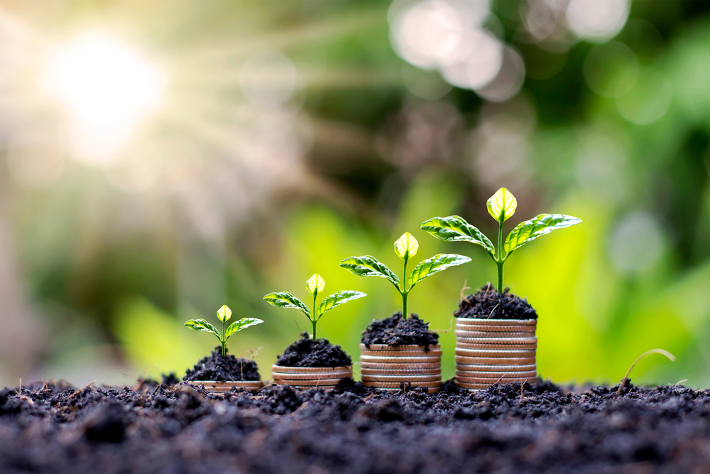 New export scheme to help businesses capitalise on rapidly growing green economy