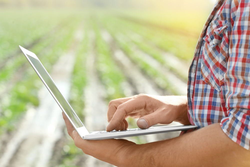 Rural businesses “more likely” to use personal finance than urban counterparts, study reveals