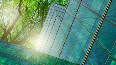 Eco-friendly upgrades – how going green can increase property value