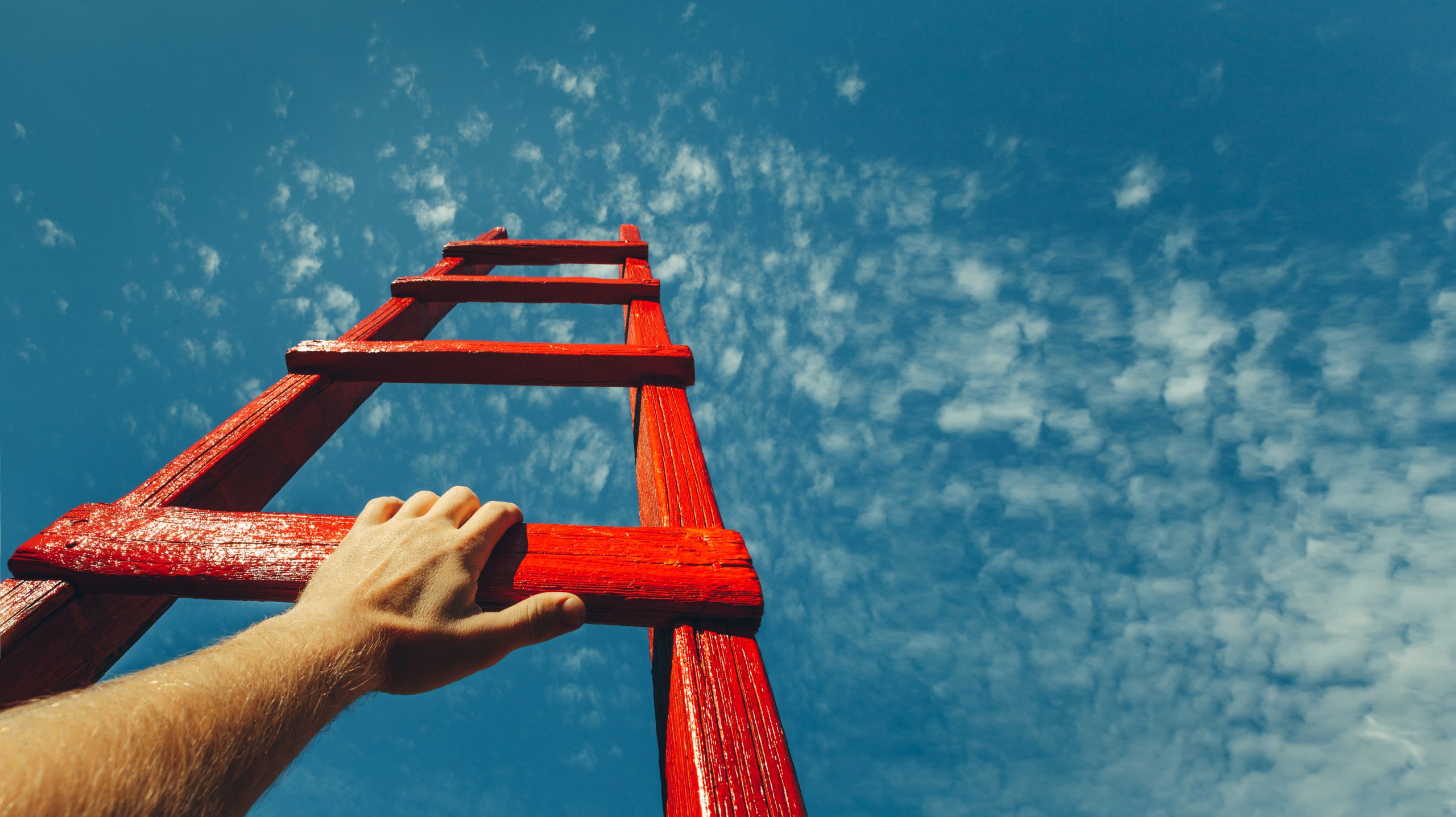 Supporting you step by step through grief: Back to basics on probate