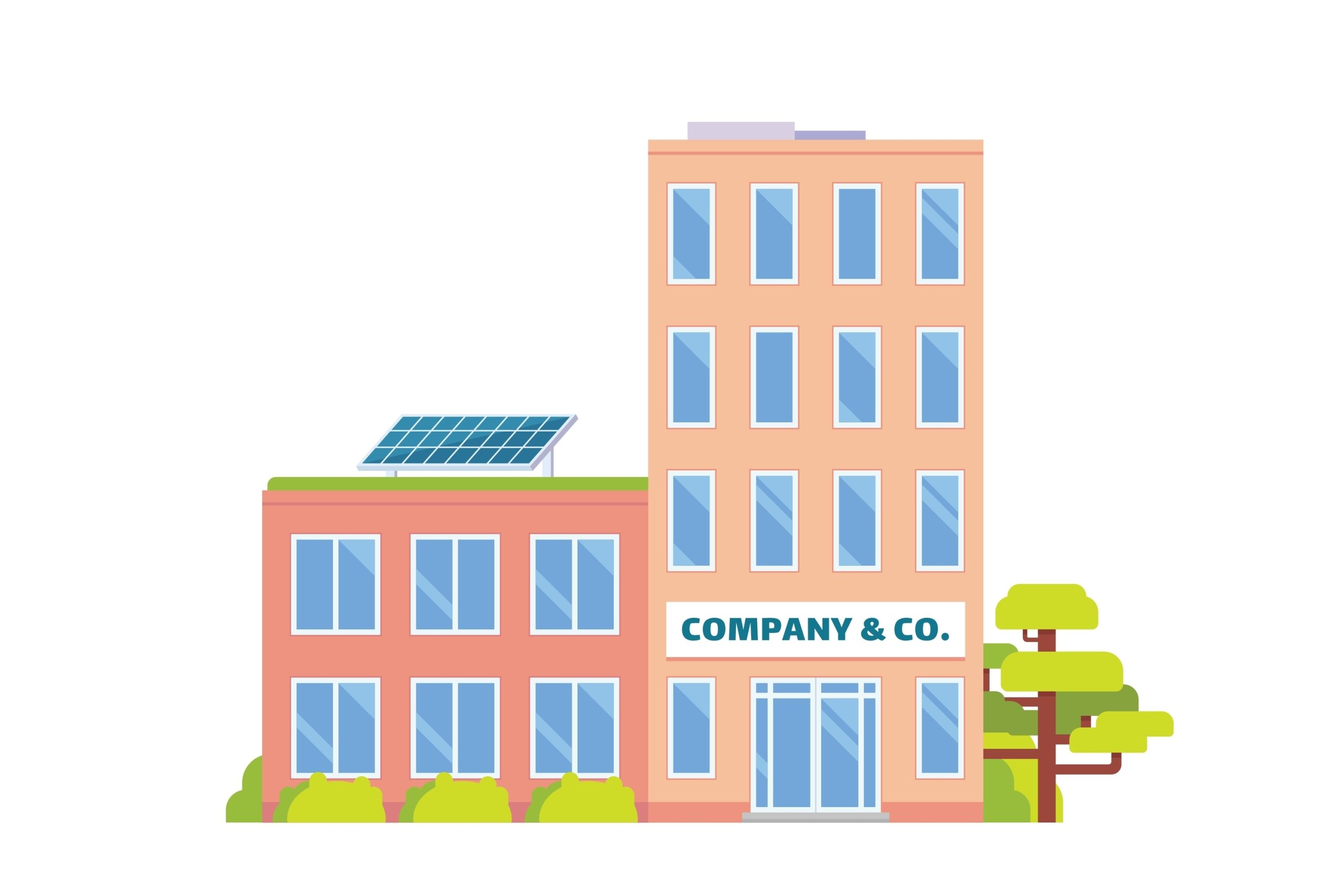 The importance of effectively managing director loans
